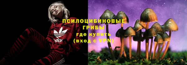 spice Балабаново