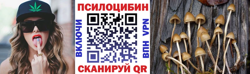 Галлюциногенные грибы Cubensis  Среднеколымск 